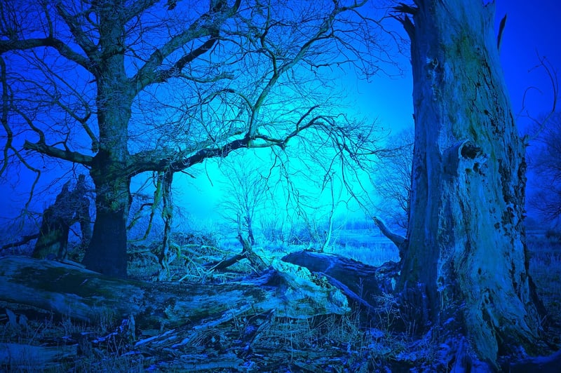 Mystical secrets