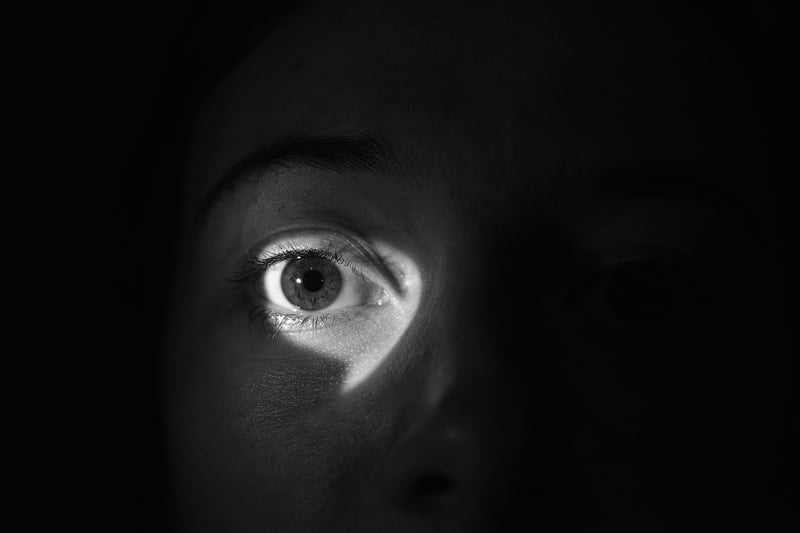 Spy in shadows